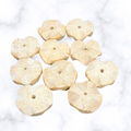 Curved Wood Beads - Disc - 18.5x6.5mm - 10 per bag - Hagar