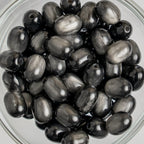 Cat Eye Gorgonia - Oval - 10.5x8mm - 25 per bag