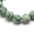 Jade - 08-18-26 Debut