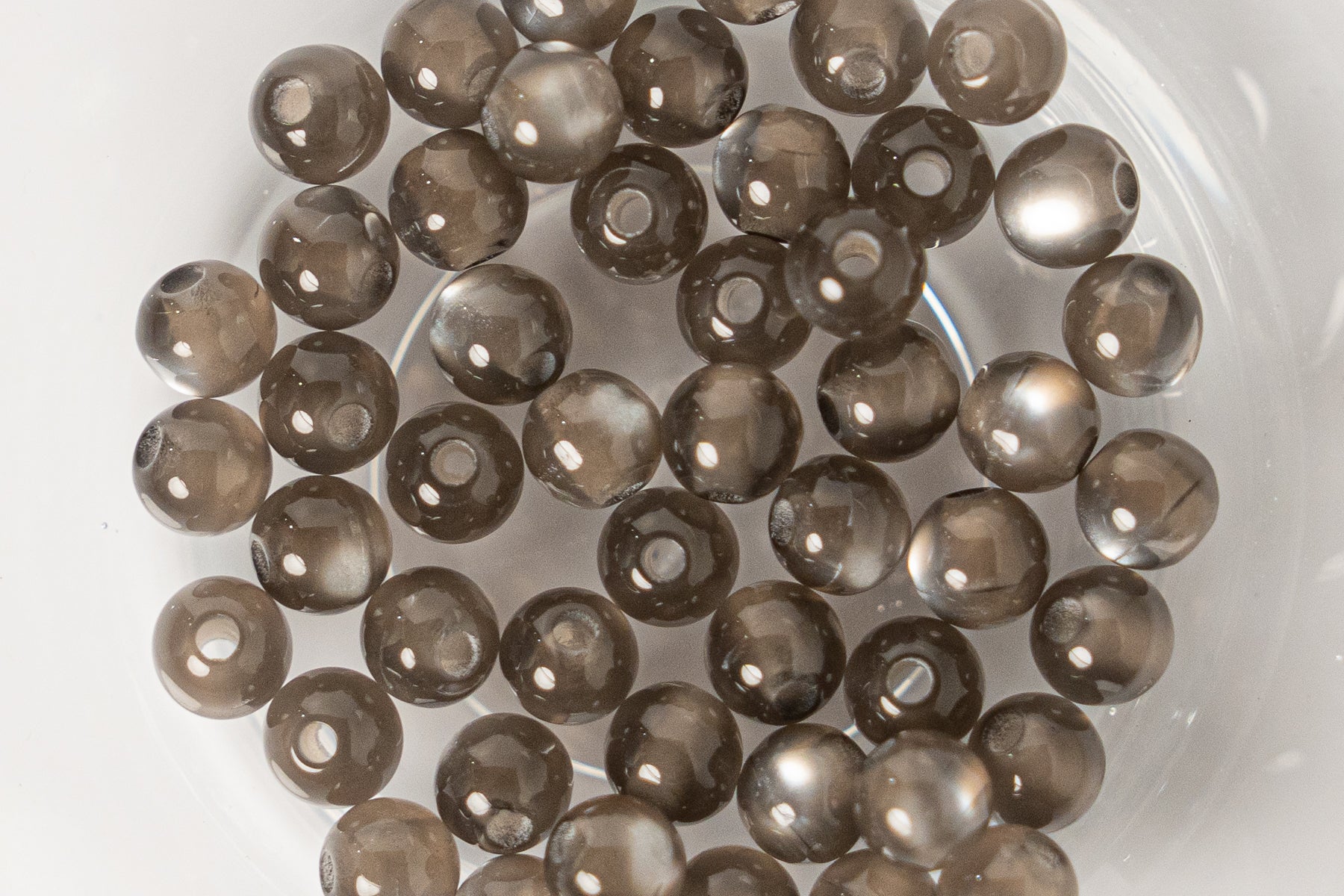 Cat Eye Gorgonia - Round - 4mm - 50 per bag