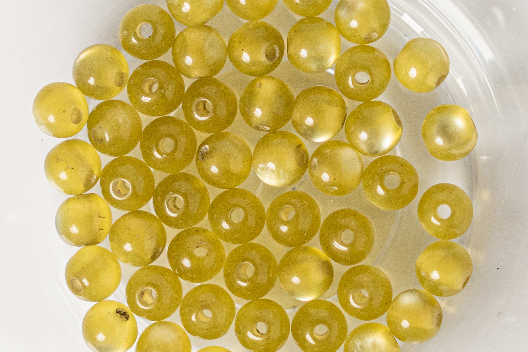 Cat Eye Gorgonia - Round - 4mm - 50 per bag