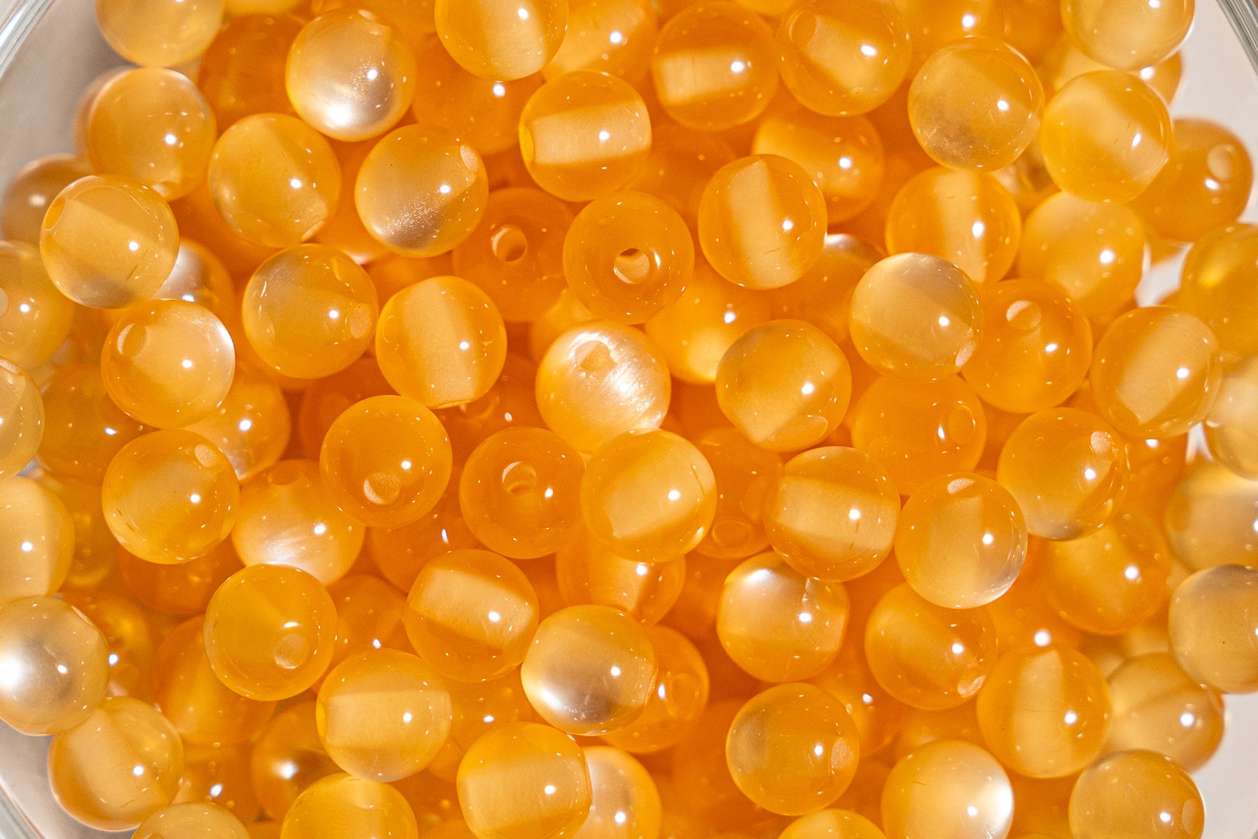 Cat Eye Gorgonia - Round - 6mm - 50 per bag