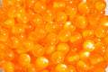 Cat Eye Gorgonia - Round - 6mm - 50 per bag