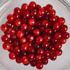 Cat Eye Gorgonia - Round - 6mm - 50 per bag