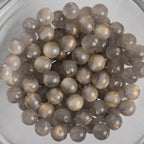 Cat Eye Gorgonia - Round - 6mm - 50 per bag