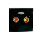 Colorful Post Earrings - Multiple Options - Silver Posts